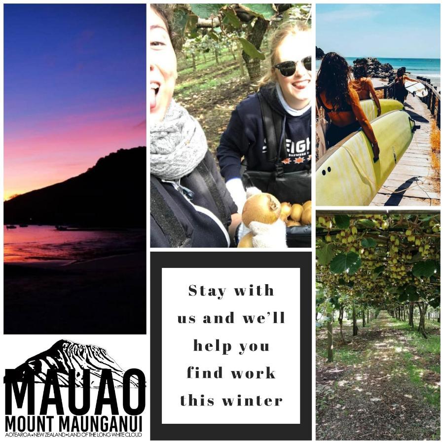 Mount Backpackers Vandrarhem Mount Maunganui Exteriör bild